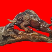 【】任何“以武謀獨”的元军行徑